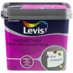 Levis Peinture Magnétique 0.5L - Lichtgrijs