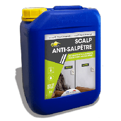 Scalp Anti-Saltpetre 1L