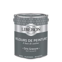 Libéron Velours de peinture Gris Gravure 