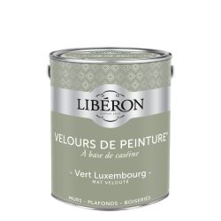 Libéron Velvet paint Luxembourg green